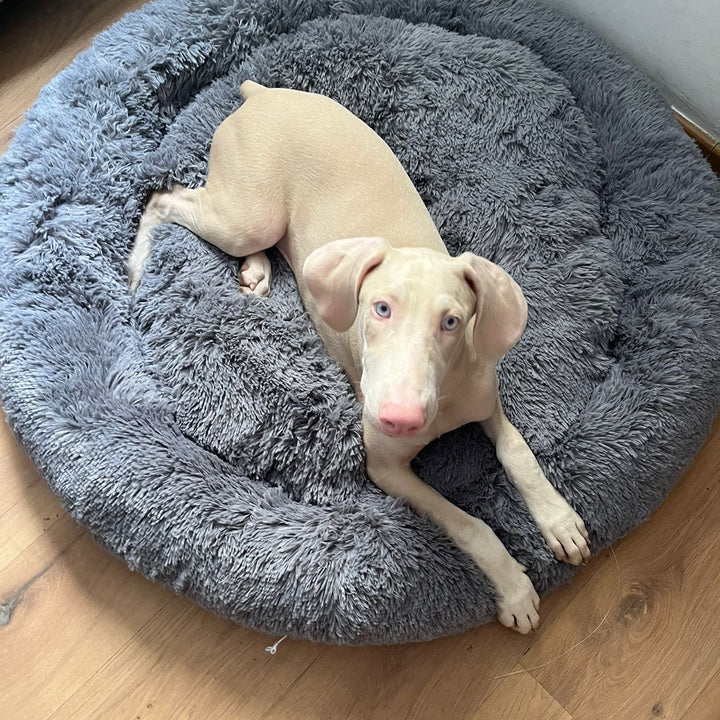 Cama dona talla XL para mascotas